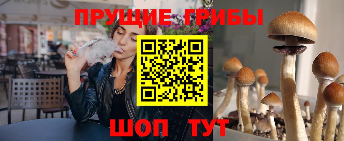 Псилоцибиновые грибы Psilocybine cubensis Ивантеевка